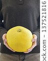 The world's largest citrus fruit, "Banpeiyu" (held) 137521816