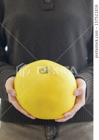 The world's largest citrus fruit, "Banpeiyu" (held) The world's largest citrus fruit, "Banpeiyu" (held) 137521816