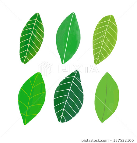 Lined up green leaf material Lined up green leaf material 137522100