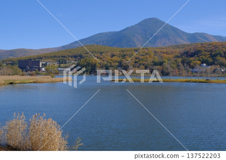 白樺湖的秋葉森林和立科山 白樺湖的秋葉森林和立科山 137522203