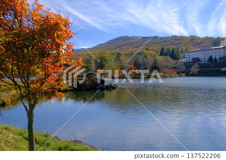 白樺湖和禦材岩遺址的秋葉 137522206