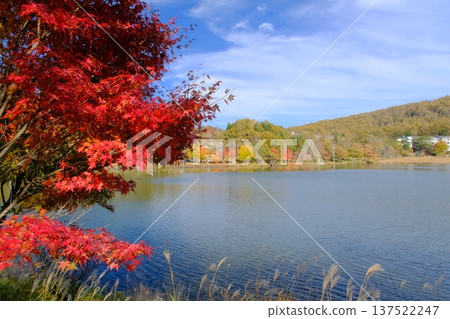 Autumn foliage at Lake Megami in Shirakaba Plateau 137522247
