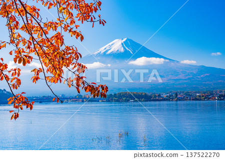(Yamanashi Prefecture) Lake Kawaguchi Lake Autumn leaves Fujisan (Yamanashi Prefecture) Lake Kawaguchi Lake Autumn leaves Fujisan 137522270