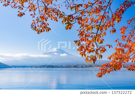 (Yamanashi Prefecture) Lake Kawaguchi Lake Autumn leaves Fujisan (Yamanashi Prefecture) Lake Kawaguchi Lake Autumn leaves Fujisan 137522272