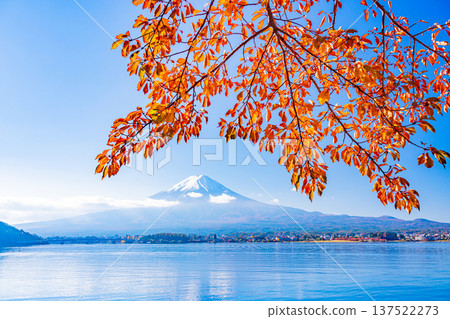 (Yamanashi Prefecture) Lake Kawaguchi Lake Autumn leaves Fujisan (Yamanashi Prefecture) Lake Kawaguchi Lake Autumn leaves Fujisan 137522273