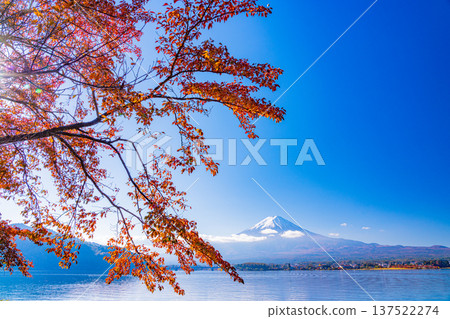 (山梨縣)川口湖秋葉富士山 (山梨縣)川口湖秋葉富士山 137522274