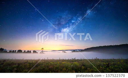 霧氣瀰漫的大地和銀河，一棵孤樹在金色的光芒中閃耀，繁星點點的夜空。 137522370