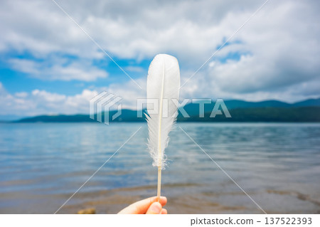在湖裡發現了一根白色羽毛 137522393