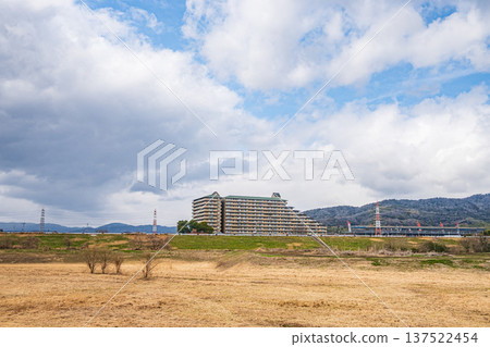 Winter-withered riverbed on the right bank of the Yodo River, Takatsuki City, Osaka Prefecture 137522454