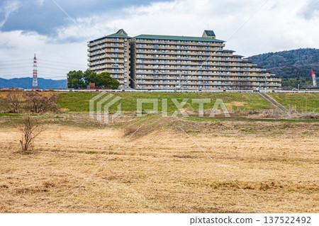 Winter-dead riverbed on the right bank of the Yodo River, Takatsuki City, Osaka Prefecture Winter-dead riverbed on the right bank of the Yodo River, Takatsuki City, Osaka Prefecture 137522492