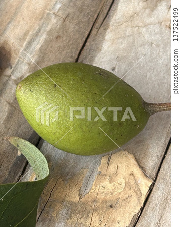 Gyobok fruit 137522499