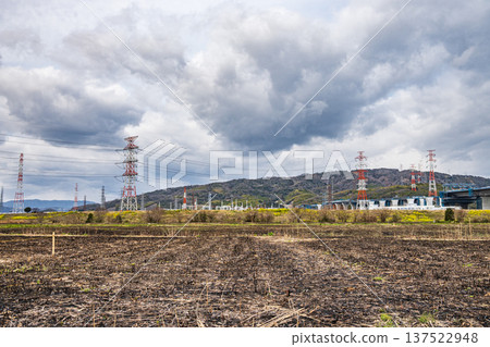 大阪府高槻市，焚燒後的蘆葦田。 137522948