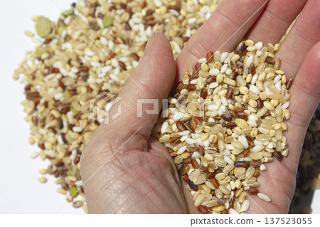 Hands and grains of grain. Hands and grains of grain. 137523055