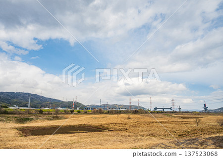 大阪府高槻市淀川右岸河床風光 137523068