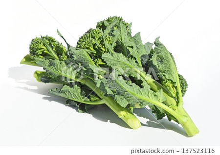 Rape blossoms (Aletta) Rape blossoms (Aletta) 137523116