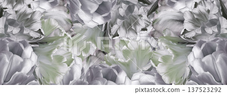 Tulips flowers and petals. Floral background. Close-up. Nature. Tulips flowers and petals. Floral background. Close-up. Nature. 137523292