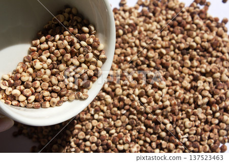 This is a close-up of sorghum. This is a close-up of sorghum. 137523463