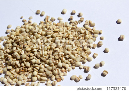 This is a close-up of coix 137523478