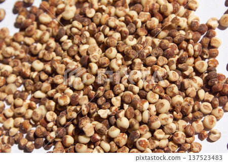 Here are some close-ups of many sorghum 137523483