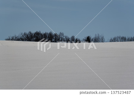 Snowy scenery of Biei in winter Snowy scenery of Biei in winter 137523487
