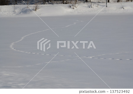 Snowy scenery of Biei in winter Snowy scenery of Biei in winter 137523492