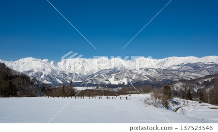 The Northern Alps in winter as seen from Hakuba Village The Northern Alps in winter as seen from Hakuba Village 137523546