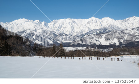 The Northern Alps in winter as seen from Hakuba Village The Northern Alps in winter as seen from Hakuba Village 137523547