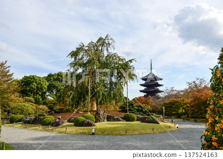 Tojiji富士櫻花和五層寶塔 137524163