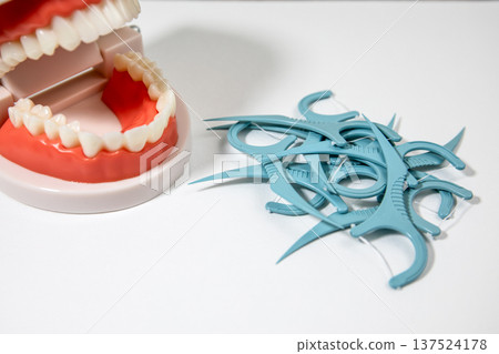 Dental Teeth Model Closeup With Floss Picks Pile On White Background 137524178