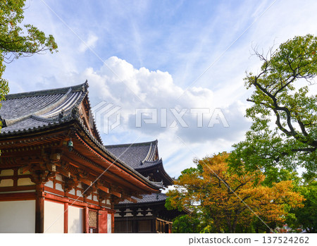 Toji Temple Lecture Hall and Autumn Leaves Toji Temple Lecture Hall and Autumn Leaves 137524262