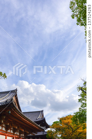 東寺講堂與秋葉 137524263