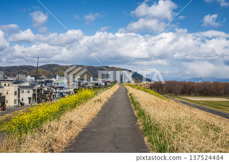 View from the right bank of the Yodo River, Takatsuki City, Osaka Prefecture 137524484