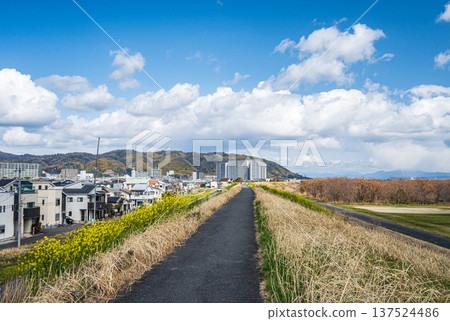 View from the right bank of the Yodo River, Takatsuki City, Osaka Prefecture View from the right bank of the Yodo River, Takatsuki City, Osaka Prefecture 137524486