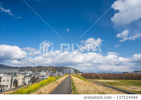 從淀川右岸眺望大阪府高槻市 137524488