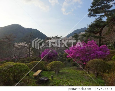 Iida City Spring Mountain Park 137524583