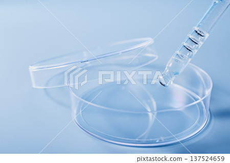 Petri dish and pipette with liquid sample in research laboratory setting Petri dish and pipette with liquid sample in research laboratory setting 137524659