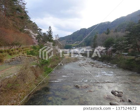 Iida City Spring river scenery 137524672