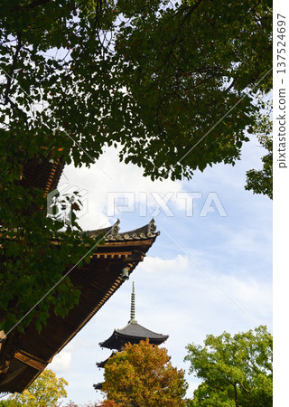 Toji Temple Five-story Pagoda and Golden Hall Toji Temple Five-story Pagoda and Golden Hall 137524697
