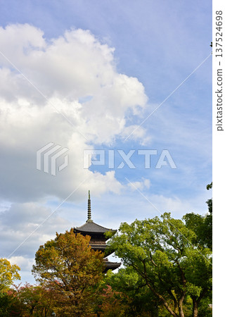 Toji Temple: Five-story pagoda and autumn leaves Toji Temple: Five-story pagoda and autumn leaves 137524698