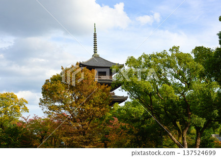 Toji Temple: Five-story pagoda and autumn leaves Toji Temple: Five-story pagoda and autumn leaves 137524699