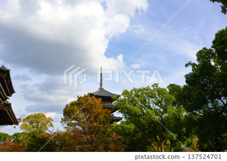 Toji Temple: Five-story pagoda and autumn leaves Toji Temple: Five-story pagoda and autumn leaves 137524701