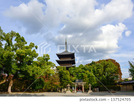 東寺、五層寶塔和秋葉 東寺、五層寶塔和秋葉 137524705