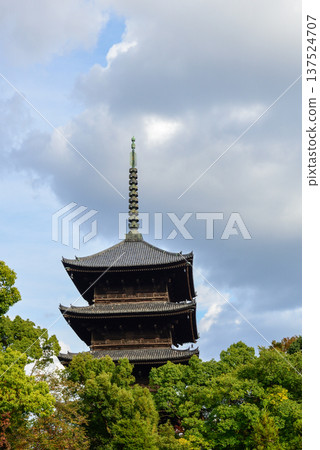 Toji Temple: Five-story pagoda and autumn leaves 137524707