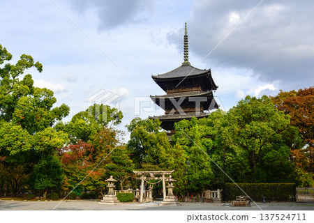 東寺、五層寶塔和秋葉 137524711