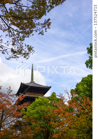 Toji Temple: Five-story pagoda and autumn leaves 137524715