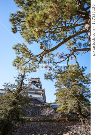 Kochi Castle Kochi Castle 137525126