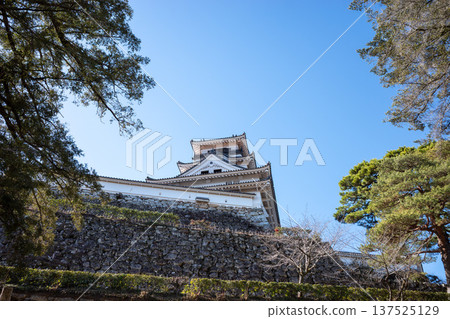 Kochi Castle Kochi Castle 137525129