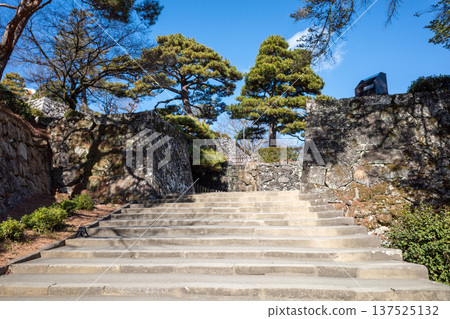Kochi Castle Kochi Castle 137525132