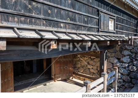 Kochi Castle 137525137