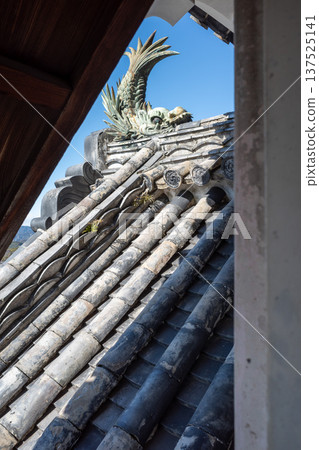 Kochi Castle Kochi Castle 137525141